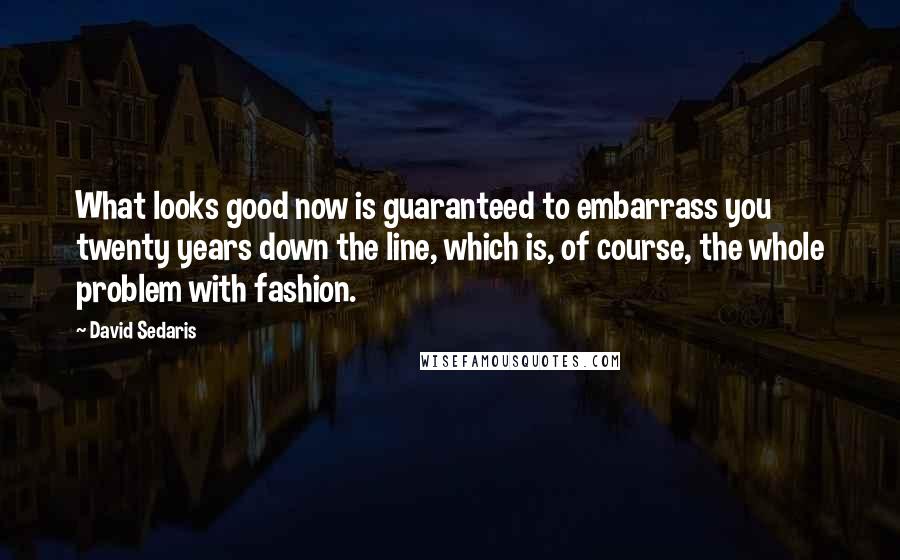 David Sedaris Quotes: What looks good now is guaranteed to embarrass you twenty years down the line, which is, of course, the whole problem with fashion.