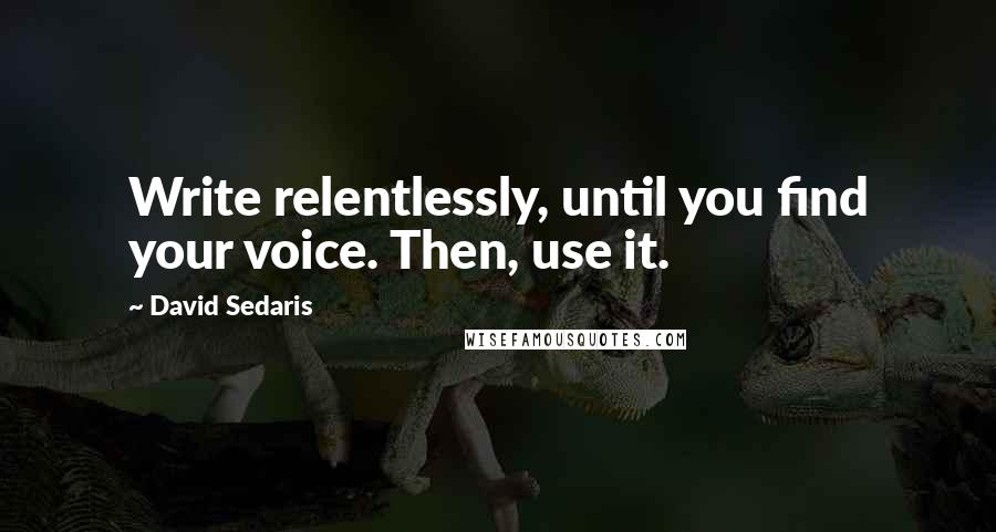 David Sedaris Quotes: Write relentlessly, until you find your voice. Then, use it.