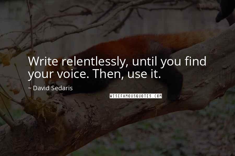 David Sedaris Quotes: Write relentlessly, until you find your voice. Then, use it.