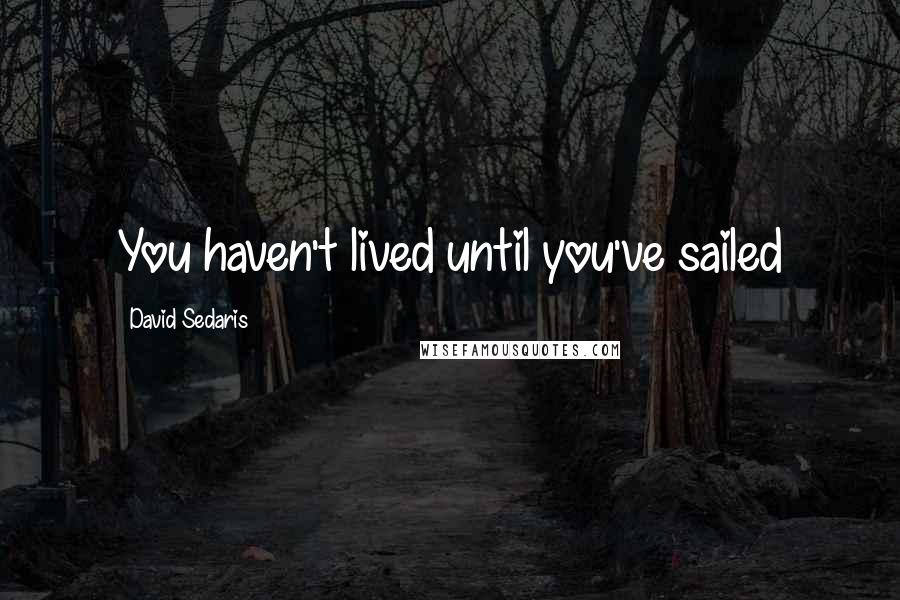 David Sedaris Quotes: You haven't lived until you've sailed