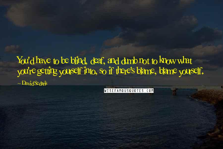 David Sedaris Quotes: You'd have to be blind, deaf, and dumb not to know what you're getting yourself into, so if there's blame, blame yourself.