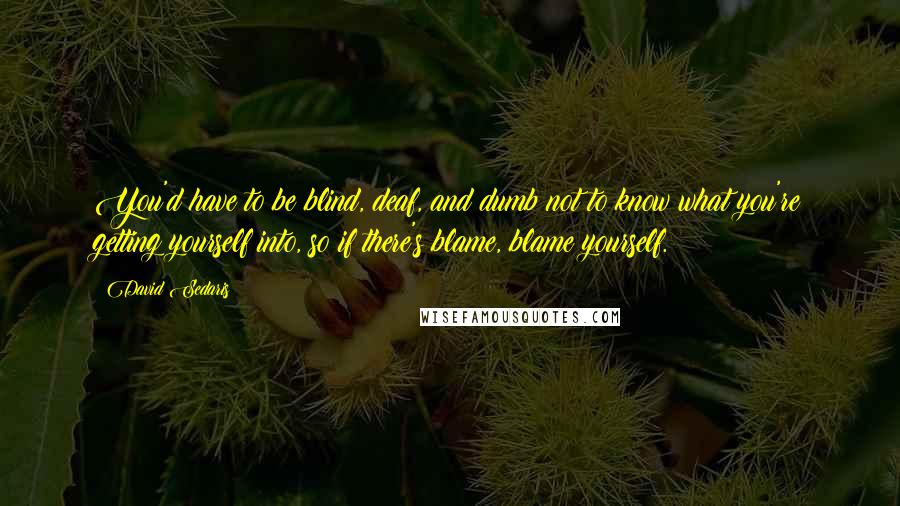 David Sedaris Quotes: You'd have to be blind, deaf, and dumb not to know what you're getting yourself into, so if there's blame, blame yourself.