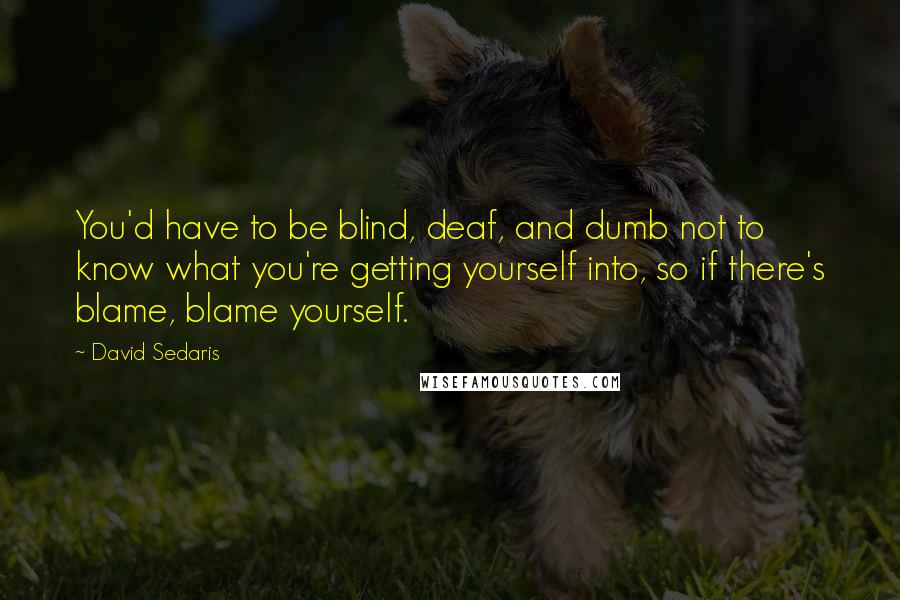 David Sedaris Quotes: You'd have to be blind, deaf, and dumb not to know what you're getting yourself into, so if there's blame, blame yourself.