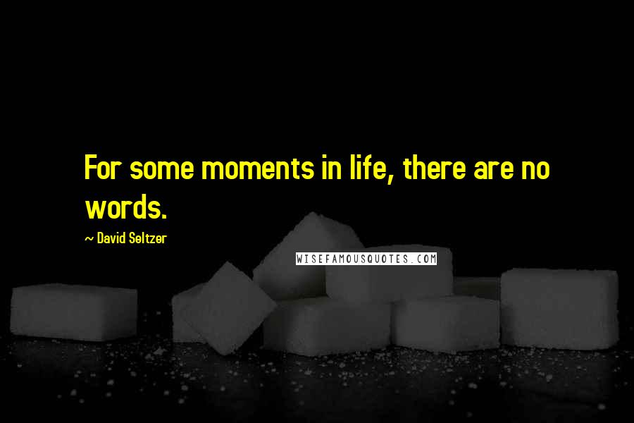 David Seltzer Quotes: For some moments in life, there are no words.