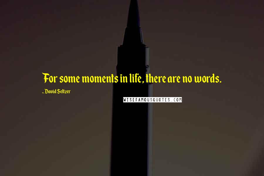 David Seltzer Quotes: For some moments in life, there are no words.