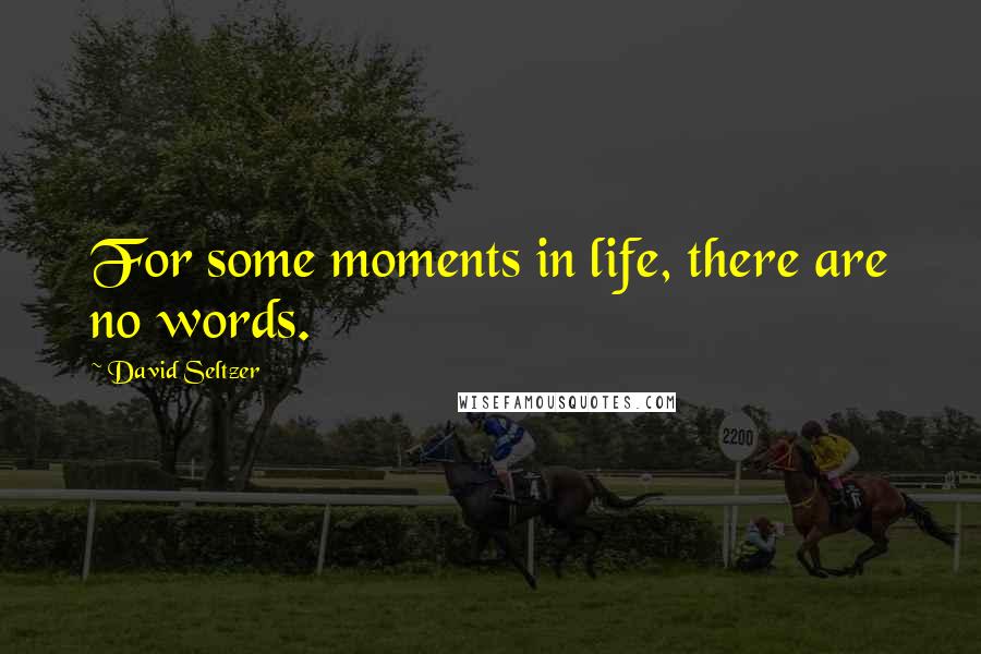 David Seltzer Quotes: For some moments in life, there are no words.