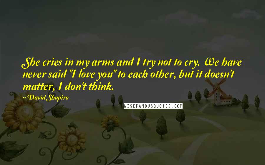 David Shapiro Quotes: She cries in my arms and I try not to cry. We have never said "I love you" to each other, but it doesn't matter, I don't think.