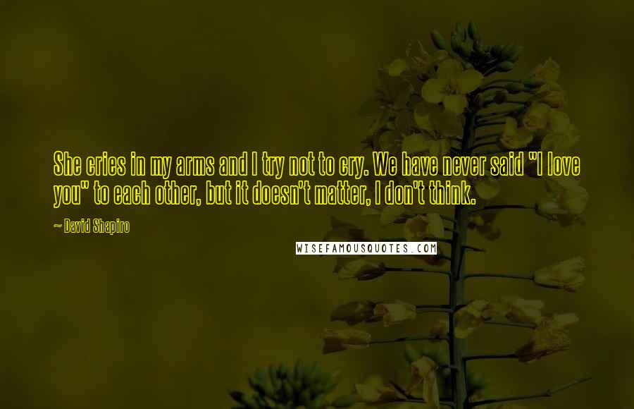 David Shapiro Quotes: She cries in my arms and I try not to cry. We have never said "I love you" to each other, but it doesn't matter, I don't think.