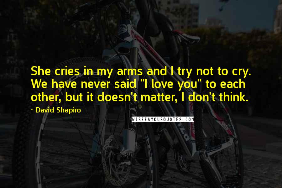 David Shapiro Quotes: She cries in my arms and I try not to cry. We have never said "I love you" to each other, but it doesn't matter, I don't think.