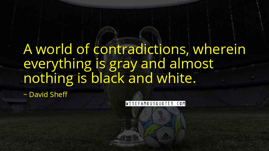 David Sheff Quotes: A world of contradictions, wherein everything is gray and almost nothing is black and white.