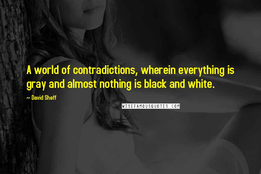 David Sheff Quotes: A world of contradictions, wherein everything is gray and almost nothing is black and white.