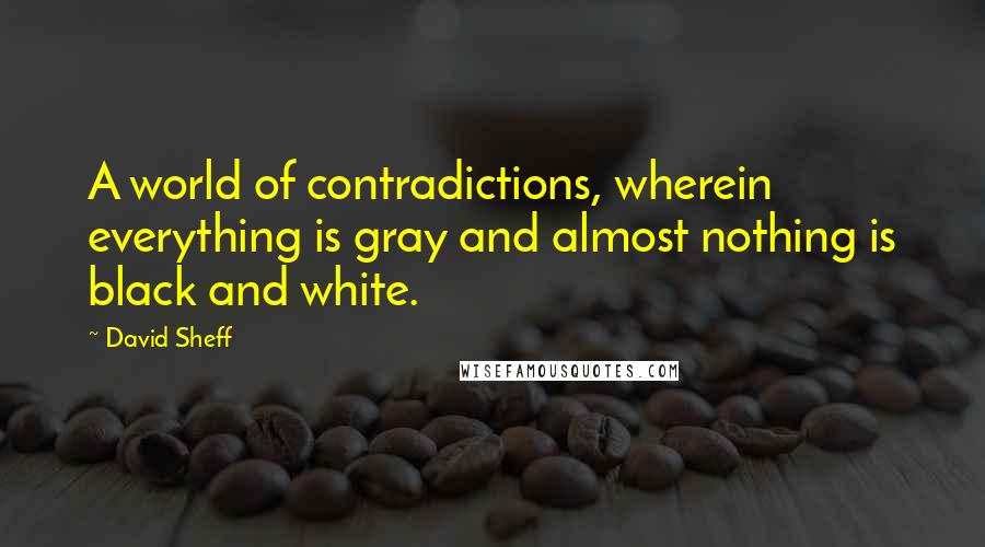 David Sheff Quotes: A world of contradictions, wherein everything is gray and almost nothing is black and white.