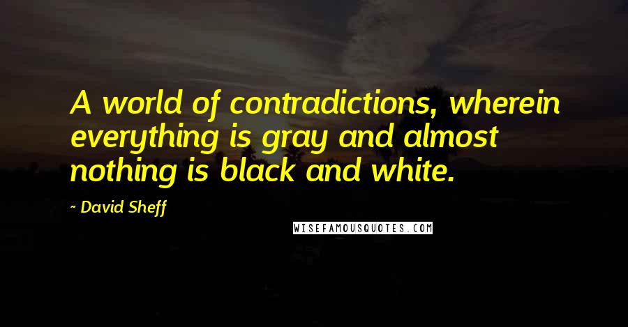 David Sheff Quotes: A world of contradictions, wherein everything is gray and almost nothing is black and white.