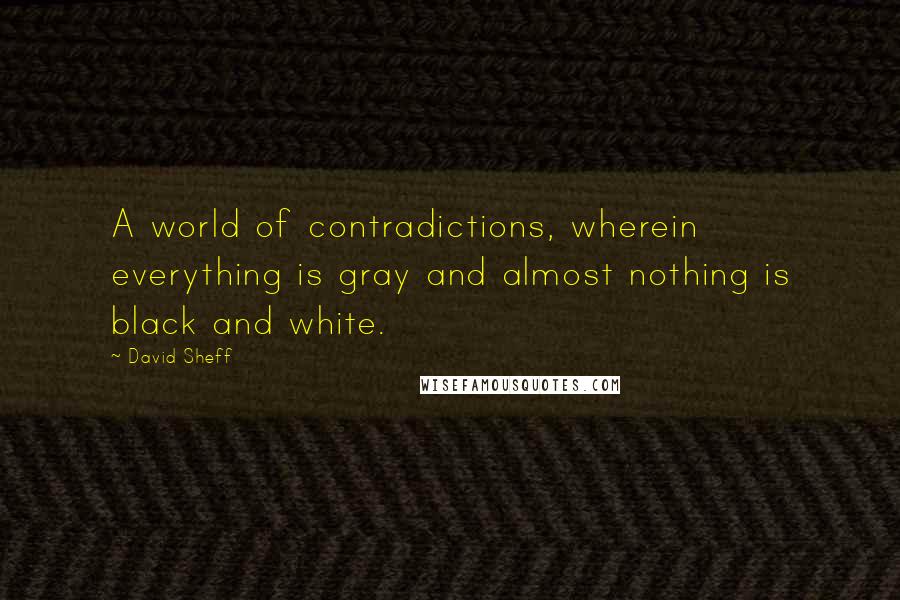 David Sheff Quotes: A world of contradictions, wherein everything is gray and almost nothing is black and white.