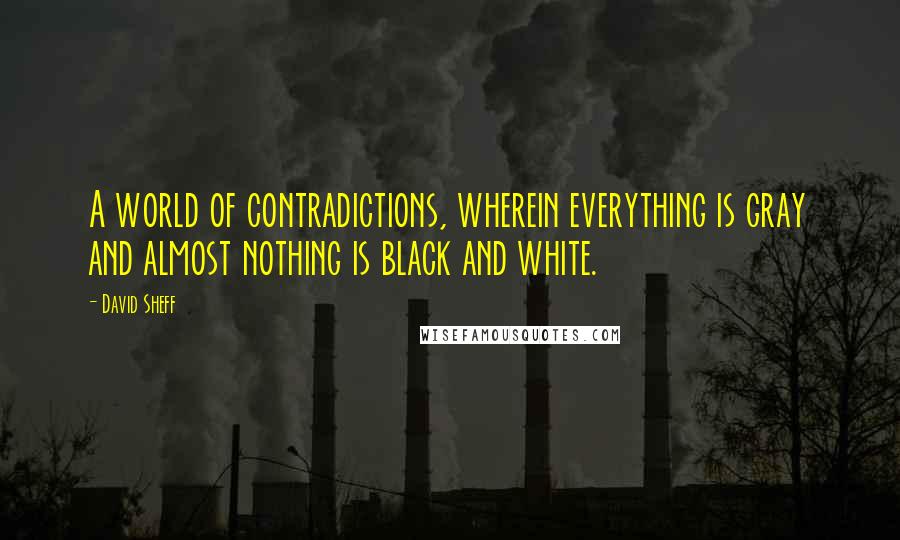 David Sheff Quotes: A world of contradictions, wherein everything is gray and almost nothing is black and white.