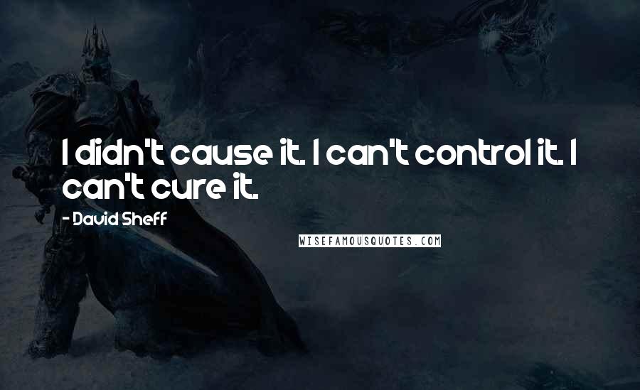 David Sheff Quotes: I didn't cause it. I can't control it. I can't cure it.