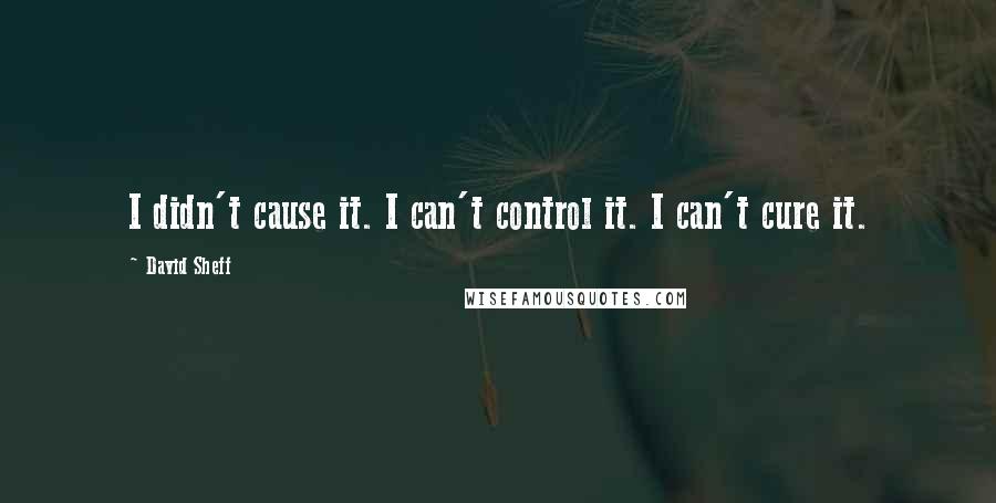 David Sheff Quotes: I didn't cause it. I can't control it. I can't cure it.