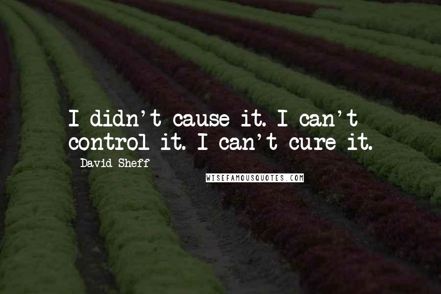 David Sheff Quotes: I didn't cause it. I can't control it. I can't cure it.