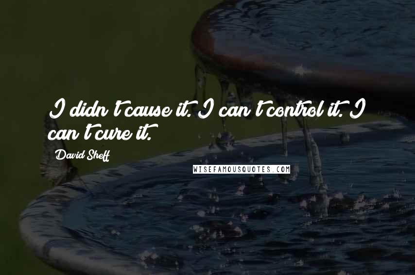 David Sheff Quotes: I didn't cause it. I can't control it. I can't cure it.