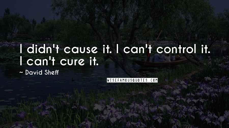 David Sheff Quotes: I didn't cause it. I can't control it. I can't cure it.