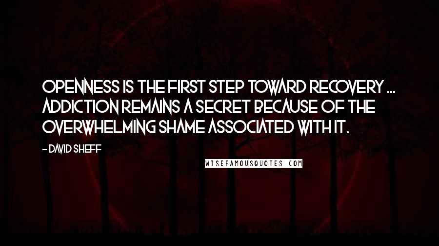 David Sheff Quotes: Openness is the first step toward recovery ... addiction remains a secret because of the overwhelming shame associated with it.