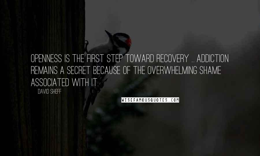 David Sheff Quotes: Openness is the first step toward recovery ... addiction remains a secret because of the overwhelming shame associated with it.