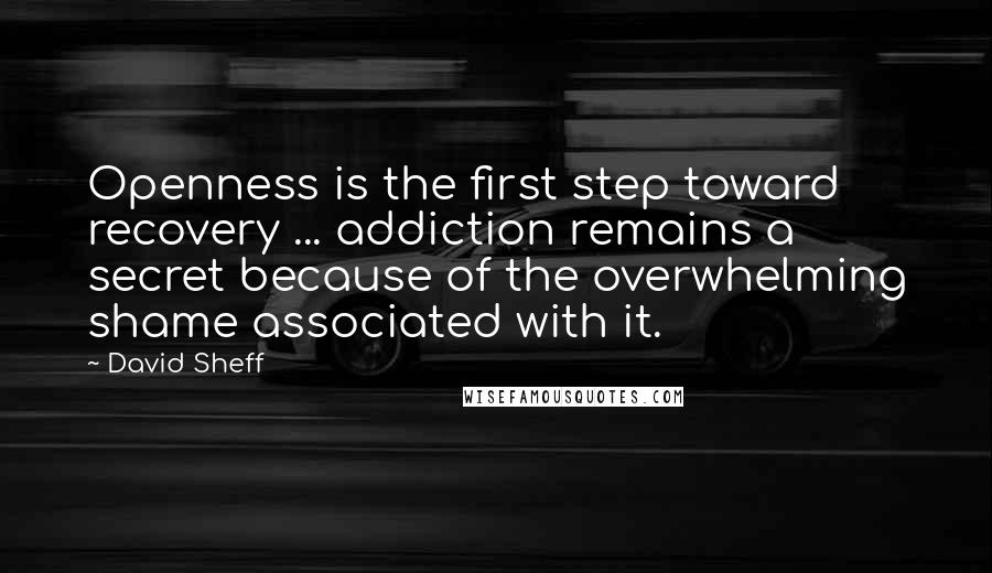 David Sheff Quotes: Openness is the first step toward recovery ... addiction remains a secret because of the overwhelming shame associated with it.