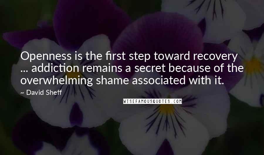 David Sheff Quotes: Openness is the first step toward recovery ... addiction remains a secret because of the overwhelming shame associated with it.