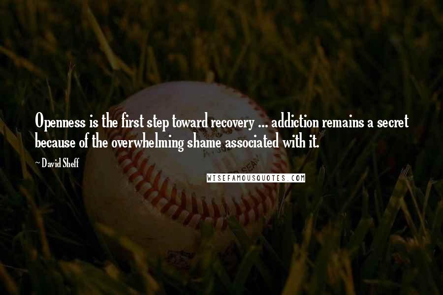 David Sheff Quotes: Openness is the first step toward recovery ... addiction remains a secret because of the overwhelming shame associated with it.