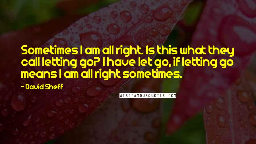 David Sheff Quotes: Sometimes I am all right. Is this what they call letting go? I have let go, if letting go means I am all right sometimes.
