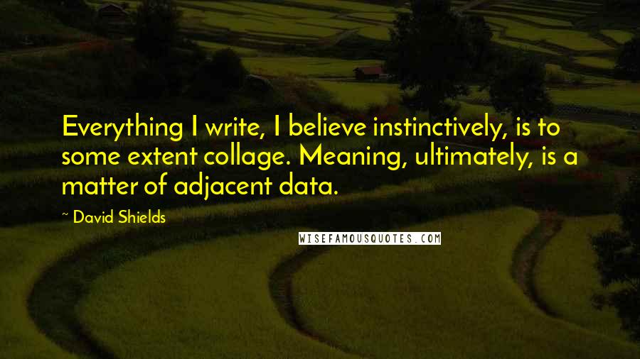 David Shields Quotes: Everything I write, I believe instinctively, is to some extent collage. Meaning, ultimately, is a matter of adjacent data.