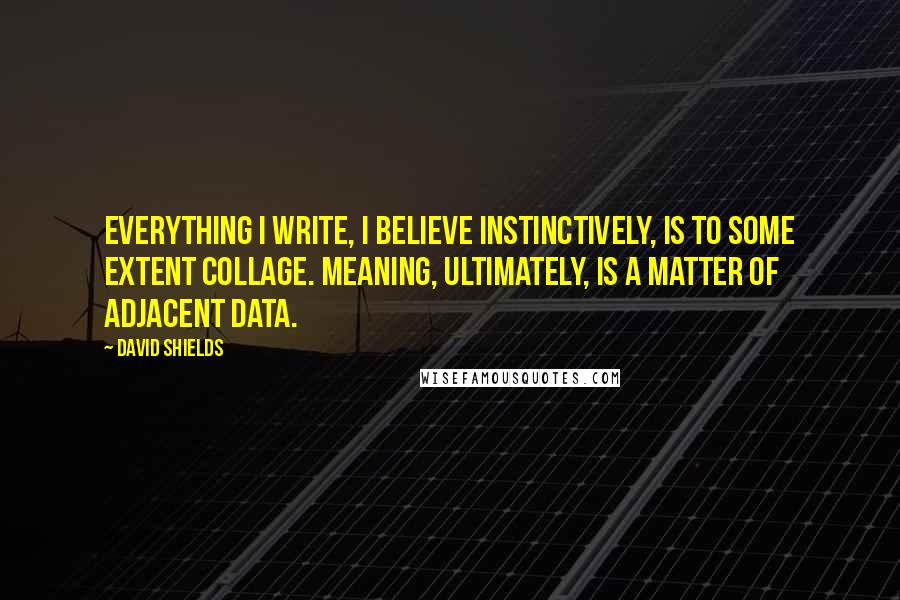 David Shields Quotes: Everything I write, I believe instinctively, is to some extent collage. Meaning, ultimately, is a matter of adjacent data.