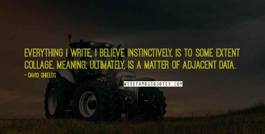 David Shields Quotes: Everything I write, I believe instinctively, is to some extent collage. Meaning, ultimately, is a matter of adjacent data.