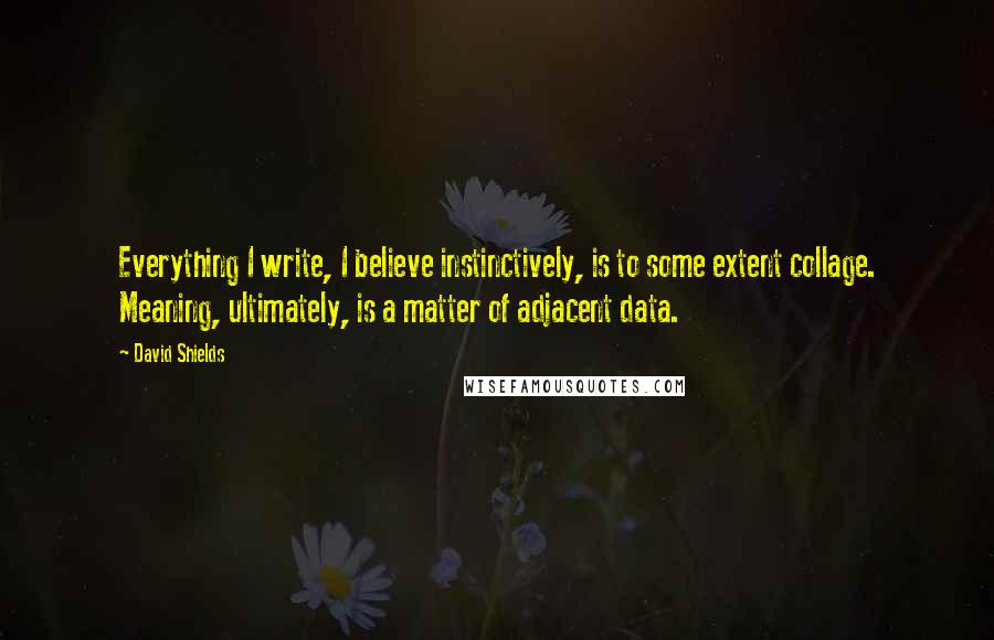 David Shields Quotes: Everything I write, I believe instinctively, is to some extent collage. Meaning, ultimately, is a matter of adjacent data.
