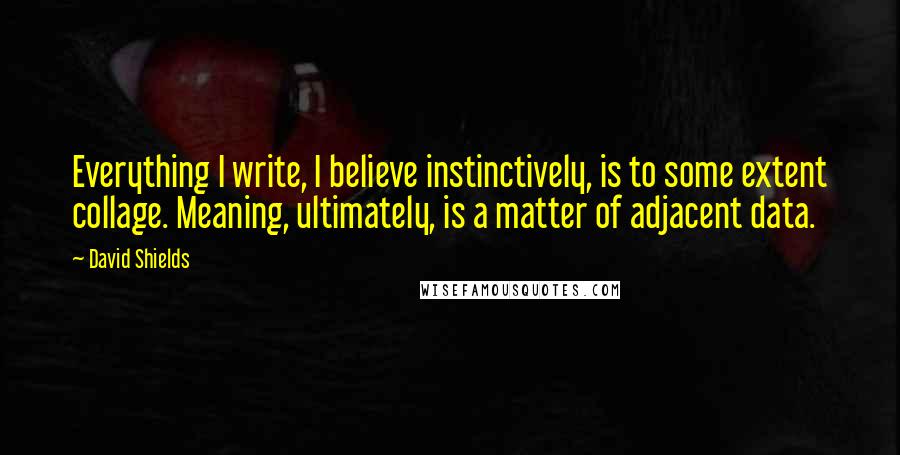 David Shields Quotes: Everything I write, I believe instinctively, is to some extent collage. Meaning, ultimately, is a matter of adjacent data.