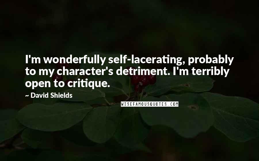 David Shields Quotes: I'm wonderfully self-lacerating, probably to my character's detriment. I'm terribly open to critique.