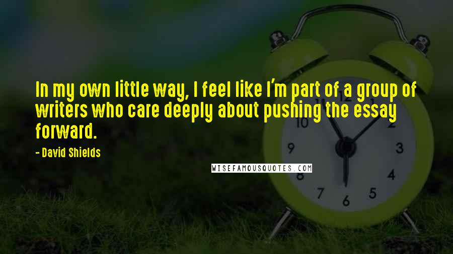 David Shields Quotes: In my own little way, I feel like I'm part of a group of writers who care deeply about pushing the essay forward.