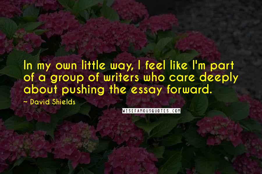 David Shields Quotes: In my own little way, I feel like I'm part of a group of writers who care deeply about pushing the essay forward.