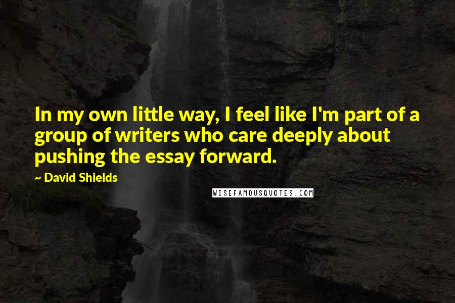 David Shields Quotes: In my own little way, I feel like I'm part of a group of writers who care deeply about pushing the essay forward.