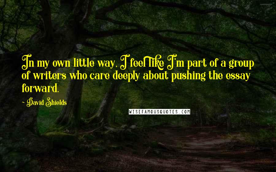 David Shields Quotes: In my own little way, I feel like I'm part of a group of writers who care deeply about pushing the essay forward.