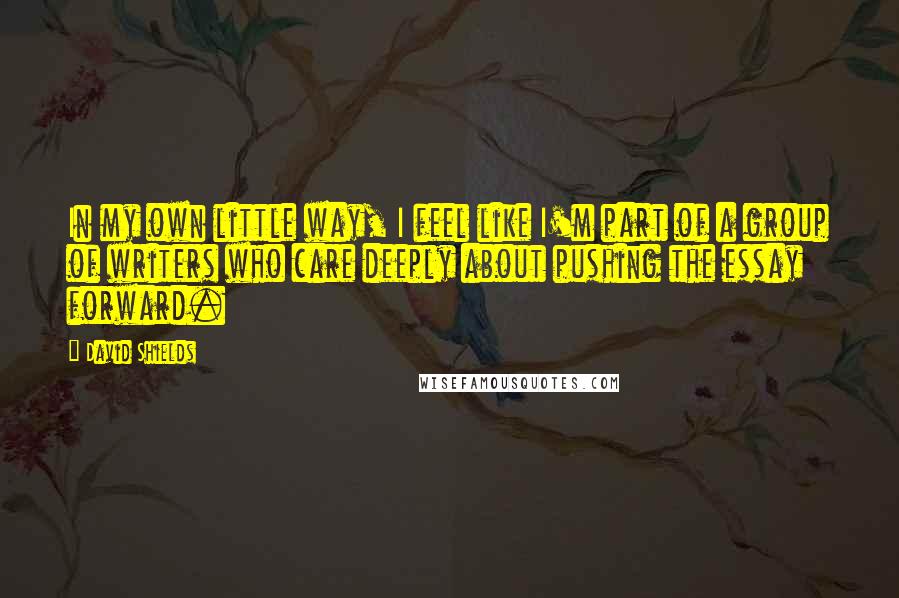 David Shields Quotes: In my own little way, I feel like I'm part of a group of writers who care deeply about pushing the essay forward.