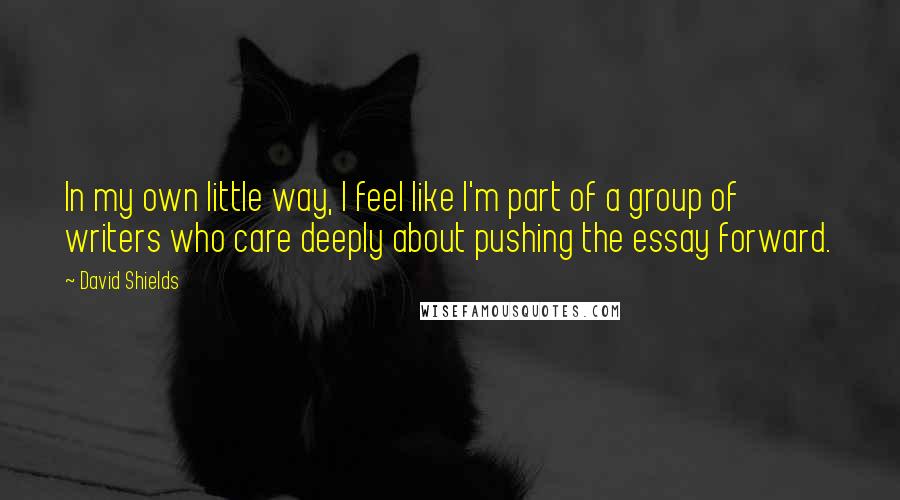 David Shields Quotes: In my own little way, I feel like I'm part of a group of writers who care deeply about pushing the essay forward.