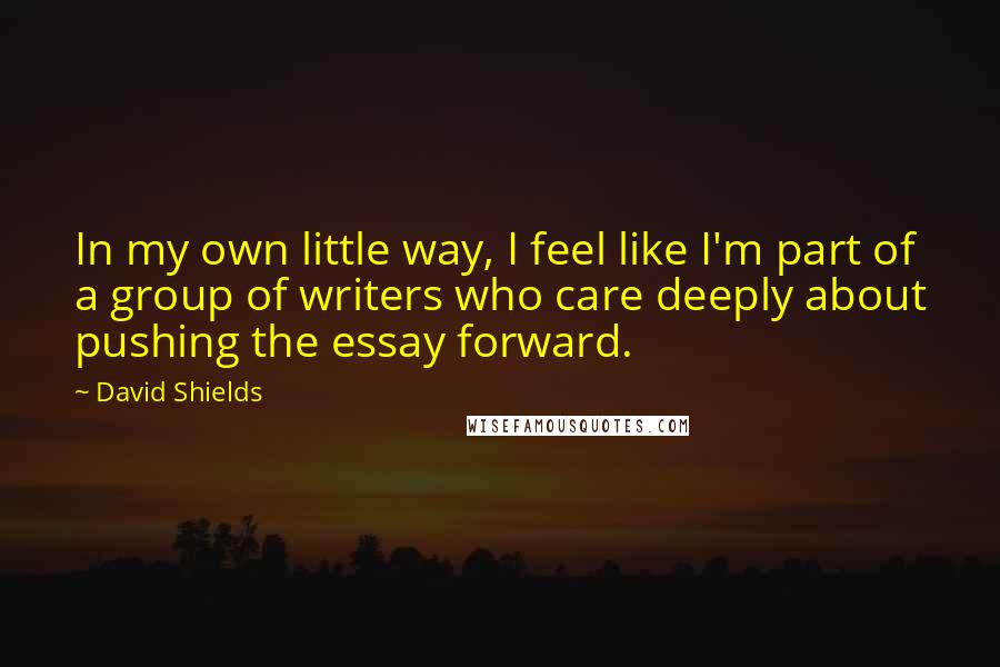 David Shields Quotes: In my own little way, I feel like I'm part of a group of writers who care deeply about pushing the essay forward.