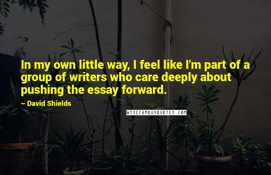 David Shields Quotes: In my own little way, I feel like I'm part of a group of writers who care deeply about pushing the essay forward.