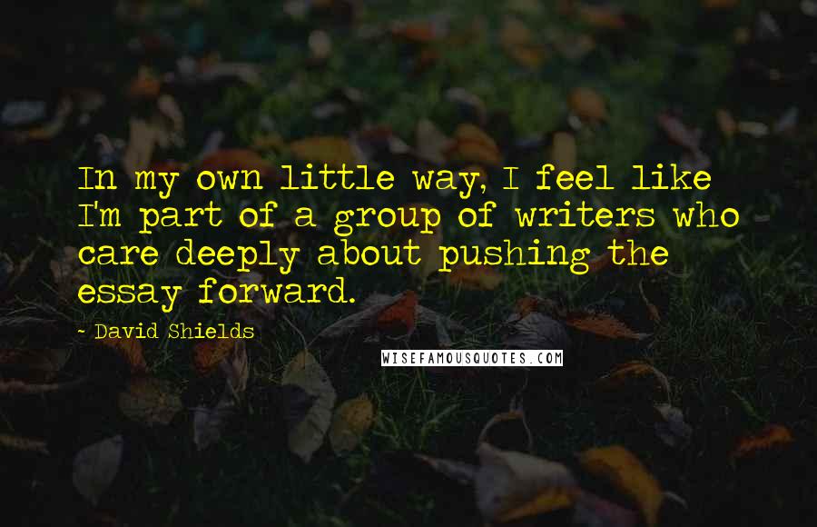 David Shields Quotes: In my own little way, I feel like I'm part of a group of writers who care deeply about pushing the essay forward.