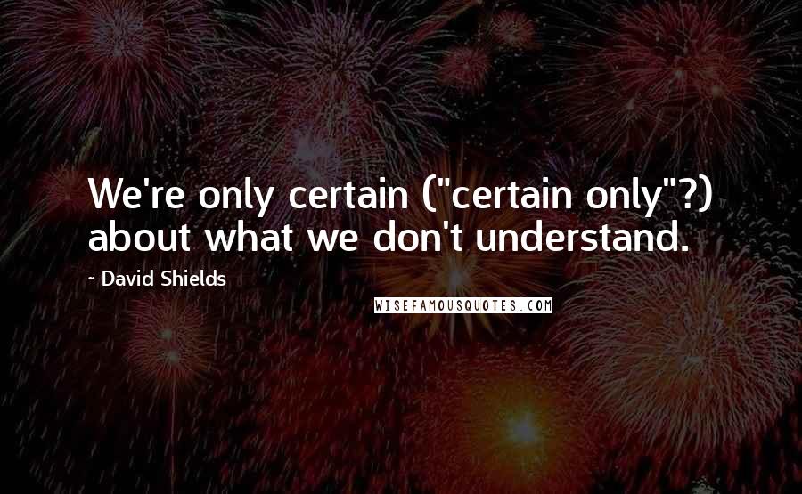 David Shields Quotes: We're only certain ("certain only"?) about what we don't understand.