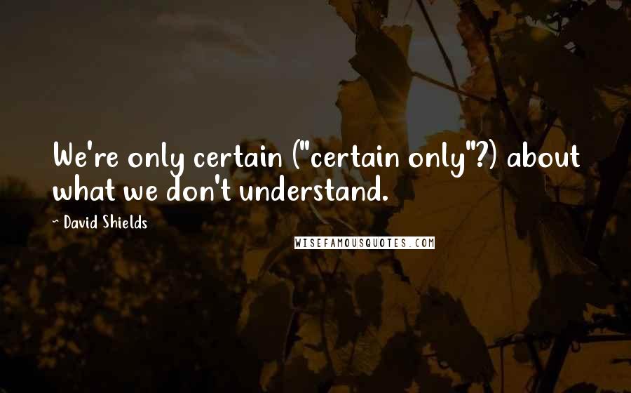 David Shields Quotes: We're only certain ("certain only"?) about what we don't understand.