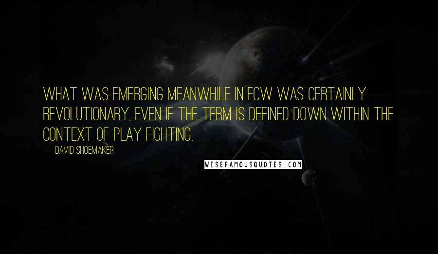 David Shoemaker Quotes: What was emerging meanwhile in ECW was certainly revolutionary, even if the term is defined down within the context of play fighting.