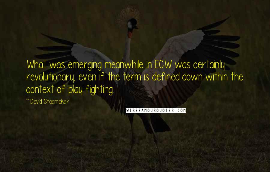 David Shoemaker Quotes: What was emerging meanwhile in ECW was certainly revolutionary, even if the term is defined down within the context of play fighting.