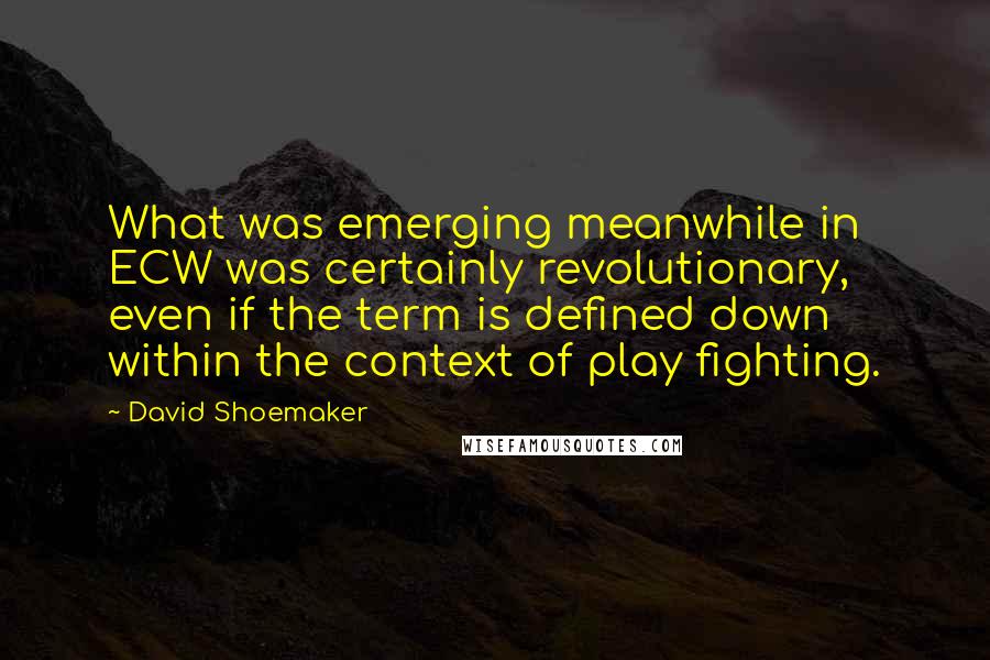 David Shoemaker Quotes: What was emerging meanwhile in ECW was certainly revolutionary, even if the term is defined down within the context of play fighting.